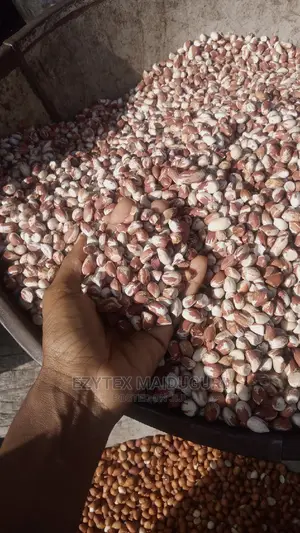 Maiduguri Groundnuts 100kg