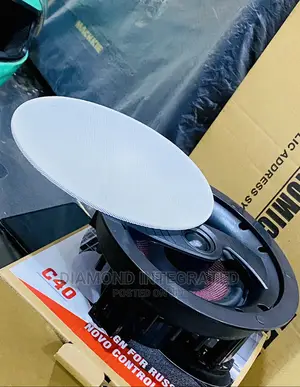 100 Watts Diamond Sound Subwoofer Ceiling Speaker