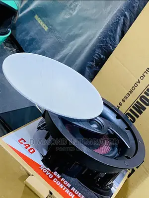 Diamond Sound 200 Watts Frameless Subwoofer Ceiliing Speaker
