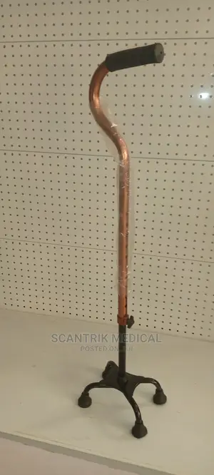 Quad Walking Stick