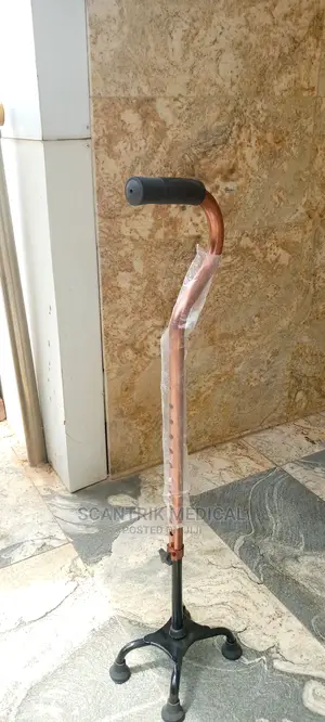 Walking Stick Cane for Elderly