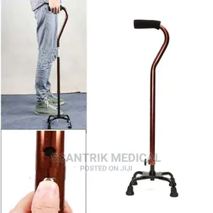 Walking Stick 4 Leg