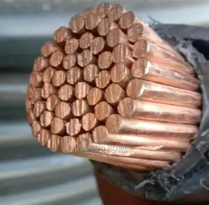 300mm Single Core PVC Able