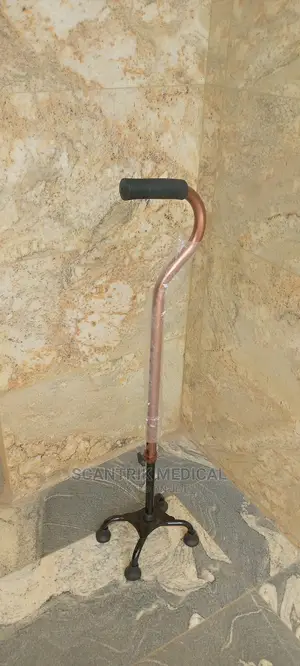Quadrangle Walking Stick