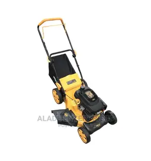 Ingco Gasoline Lawn Mower Side And Back Discharge 4.8hp