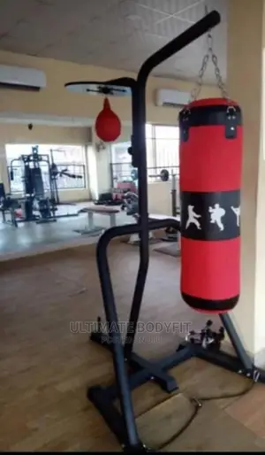 Brand New 3in1 Boxing Glove Punch Bag With Stand