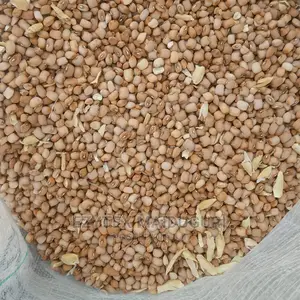 Drum Brown Beans Type Sweet