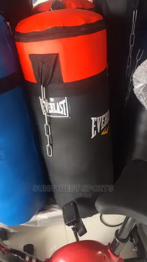 Brand New Punching Bag
