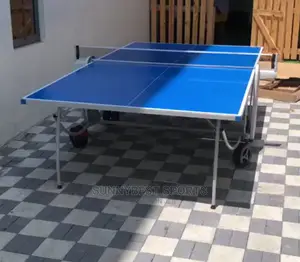 Table Tennis Board American Fitness
