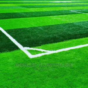 Artificial Grass/ Synthetic Grass/ Astroturf