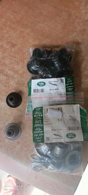Range Rover 010, 09, Evoque Valve Seal /