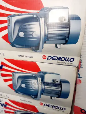 Pedrollo Surface Water Pump
