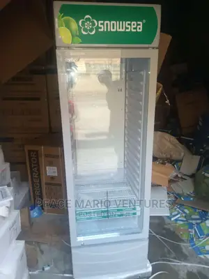 Standing Original Showcase Cooler, With Evaporator