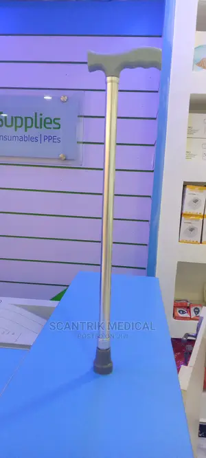 Fordable Walking Stick