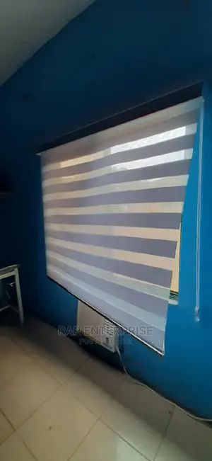 Day N Night Window Blinds