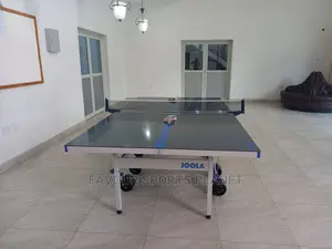 Professional Outdoor Table Tennis Board Available in PHC