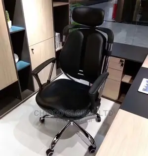 Office Chair (Orthopedic)