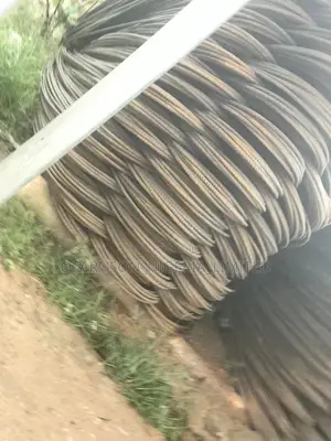 Have All Kind of Iron Rods Local, TMT, Tiger