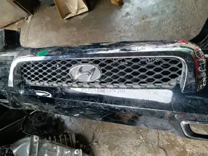 Hyundai Santafe 04 Front Grille