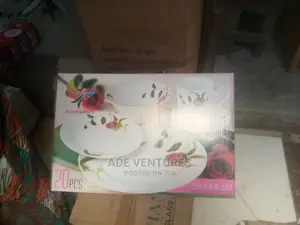 20 Pieces Dinner Set.