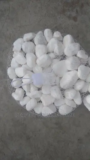 White Pebble Stone
