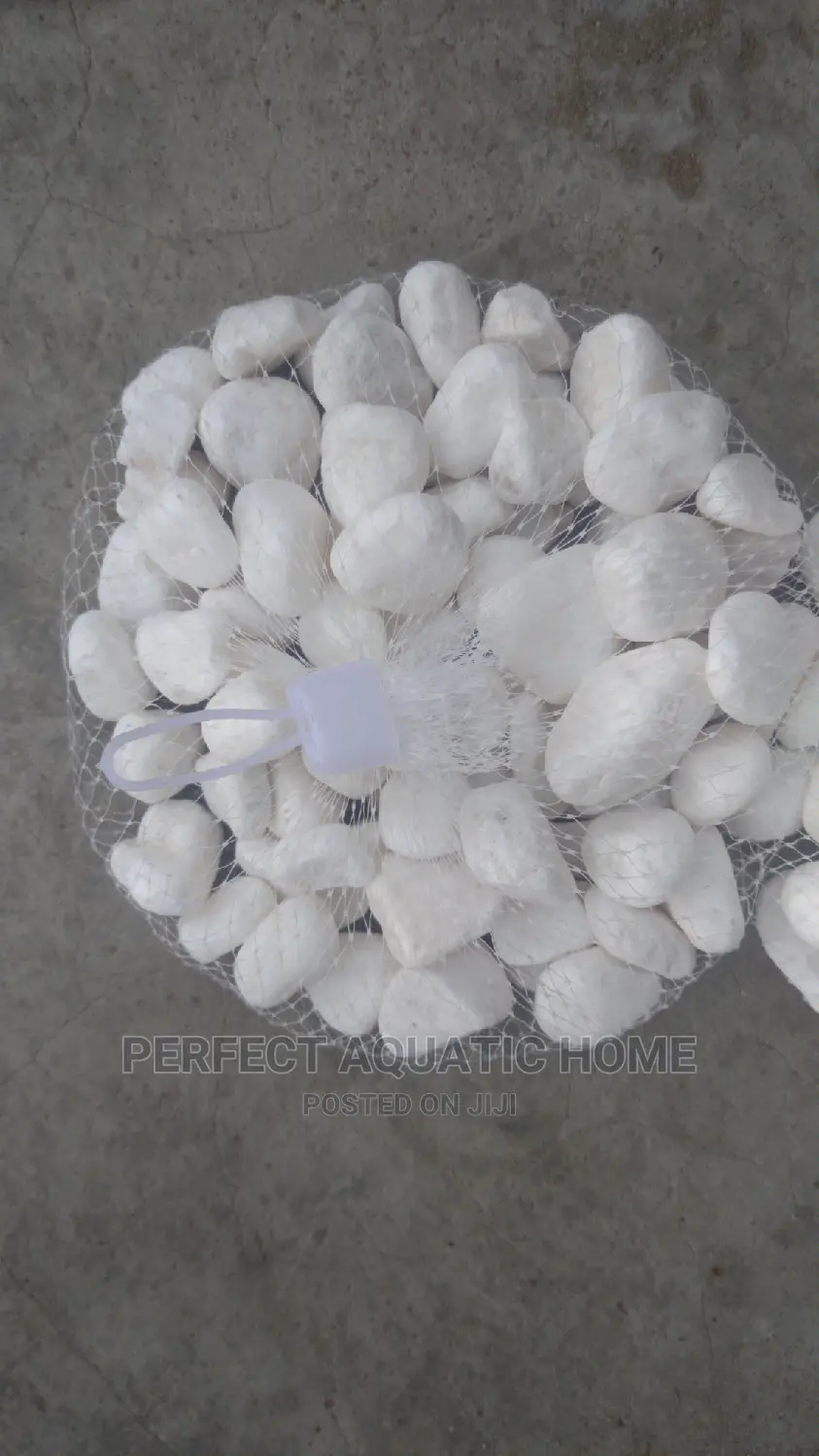 White Pebble Stone