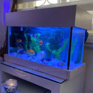 Aquarium 24*18*9inch
