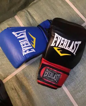 Boxing Glove Everlast