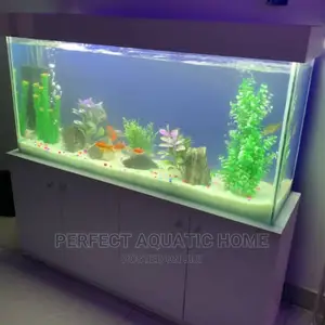 Beautiful Aquarium 3ft*22*10