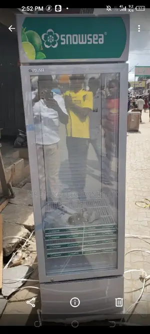 Snowsea Upright Freezer 500