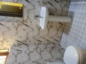 House Cleaning Expert