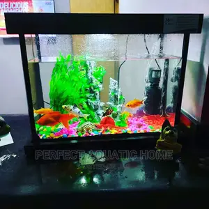 Aquarium 24*22*8