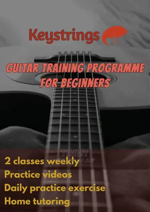 Guitarist, Guitar Instructor and Music Tutor.