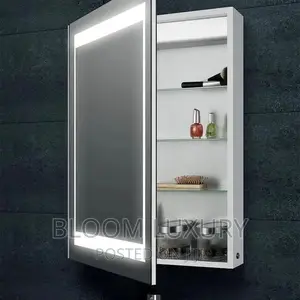 LED Mirror With Shelves