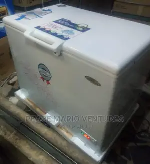 Original Thermocool Deep Freezer 319model