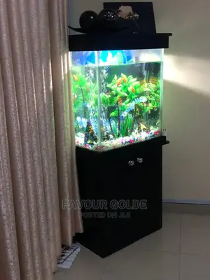 Room Aquarium
