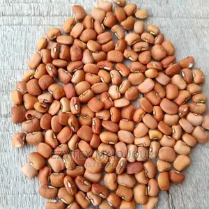 Chad Sweet Brown Beans (50kg)