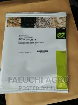 Red Coach F1 Hybrid Onion Seeds (25,000 Seeds)