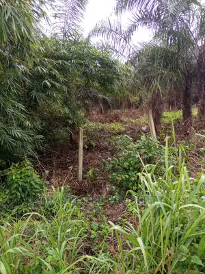 2600sqm 4 Plots of Land For Sale At Ibeju