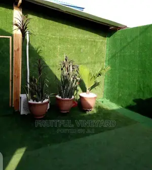 Artificial Grass Carpet