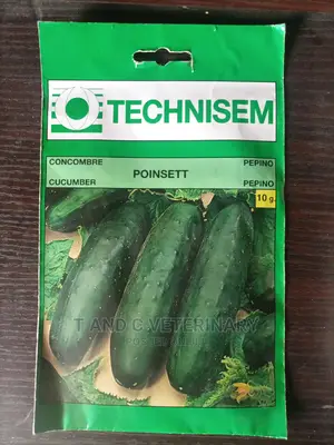 Technisem Cucumber Seed 10g