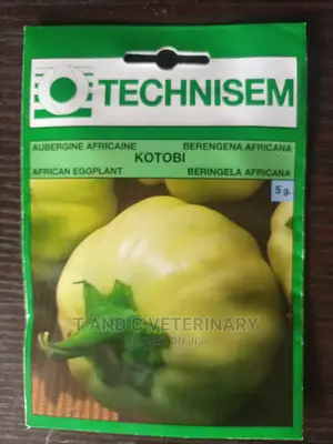 Technisem African Eggplant Seed 5g
