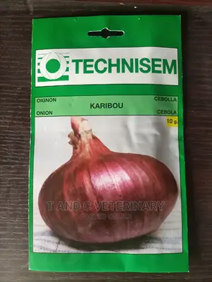 Technisem Onion Seed 10g