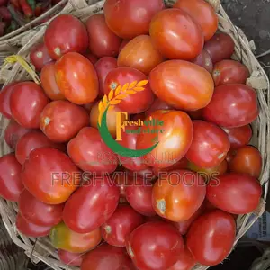 Utc Tomatoes
