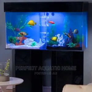 Aquarium With Amazing Fishes