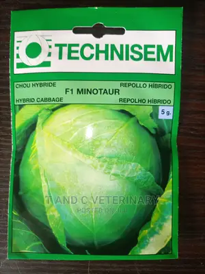 Technisem Hybrid Cabbage Seed 5g