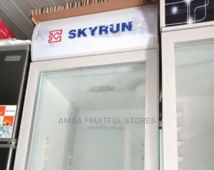 Skyrun Show Case