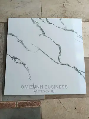 Quality 60 X 60 Ceramic Floor Tiles.
