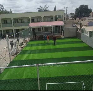Quality Football Grass