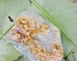 Hot Pepper-Atarodo(Organic)